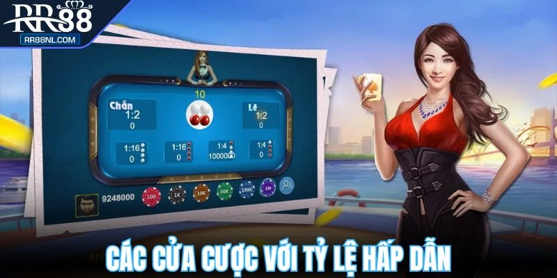 Cửa cược hấp dẫn và tỷ lệ cao tại xóc đĩa RR88