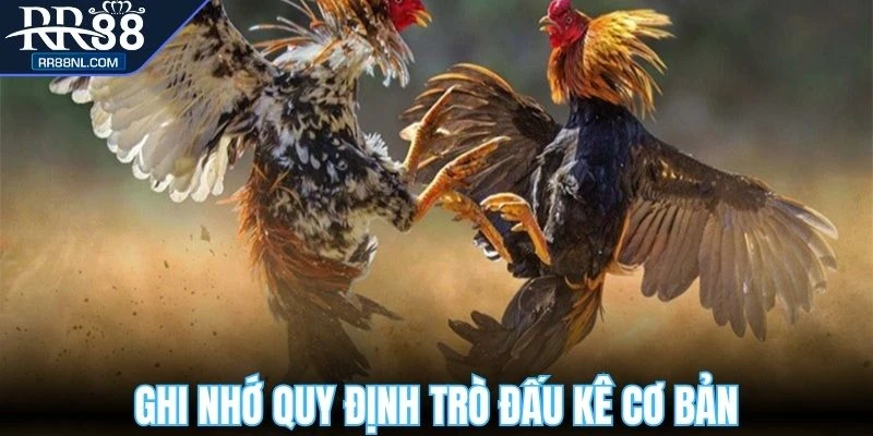Ghi nhớ quy định trò đấu kê cơ bản