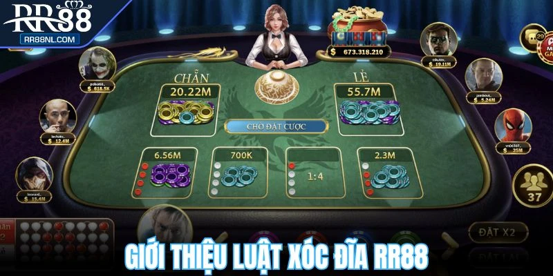 Luật chơi xóc đĩa RR88 cơ bản cho người mới